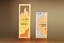 九州酷游国际一举斩获“2024年度中国区最佳雇主”等多项大奖