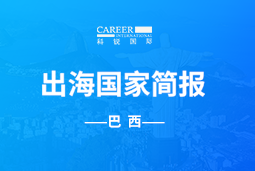 九州酷游GO GLOBAL | 巴西国家简报